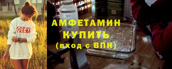 амф Вяземский