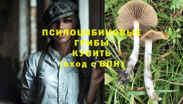 амф Вяземский