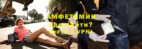 амф Вяземский