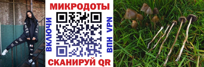 Псилоцибиновые грибы MAGIC MUSHROOMS  ссылка на мегу ссылки  Калачинск 